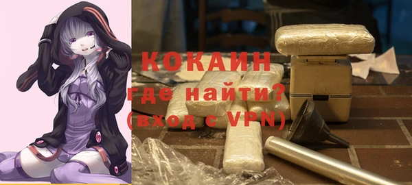 молекула духа Гусев