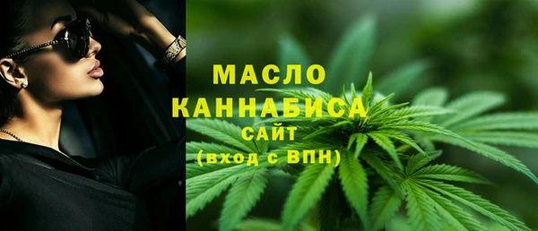 молекула духа Гусев