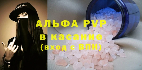 PSILOCYBIN Гусиноозёрск