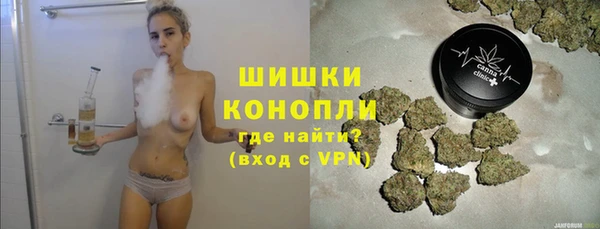 молекула духа Гусев