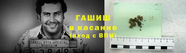 PSILOCYBIN Гусиноозёрск