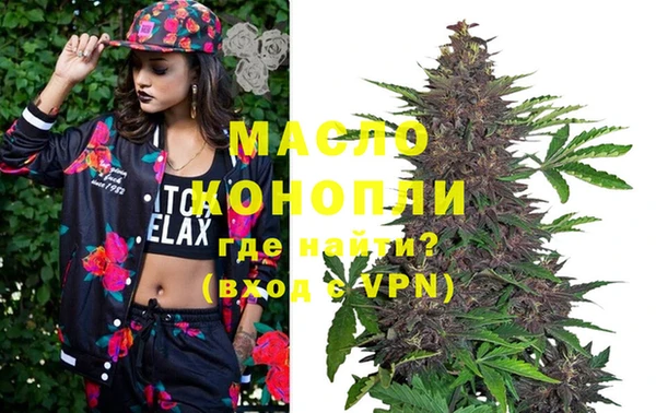 молекула духа Гусев