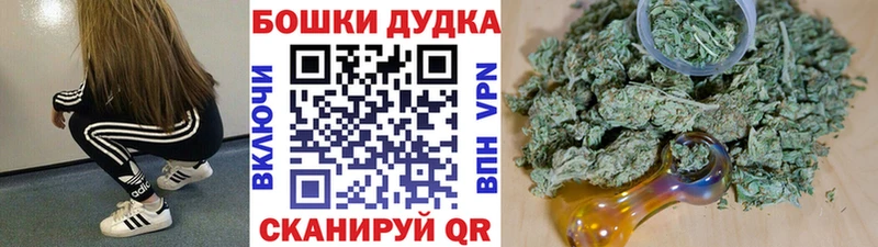 Конопля OG Kush  Купить где  Кемь 